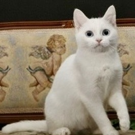 lowers (�t�����[)�i�}���`�J���i�����j�j 2