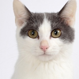 �s�A�m�iMIX�j 2