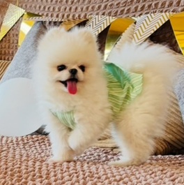 �������i�|�����j�A���j2 |