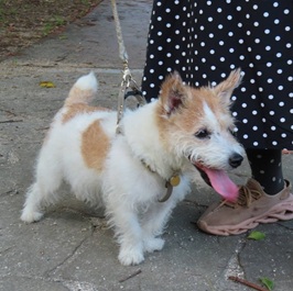 �������i�W���b�N���b�Z���e���A�j2 |