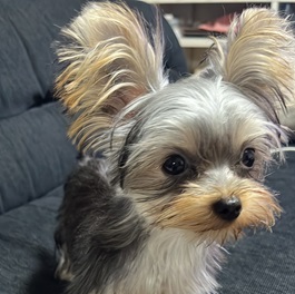 �c���`�����i���[�N�V���e���A�@�j2 |