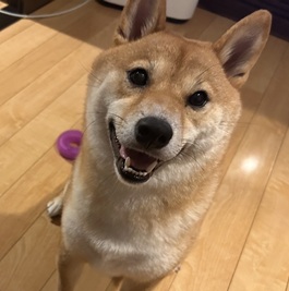 ��g�i�āj2 |