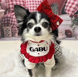 �K�u�ɂ��i�`�����j2 |