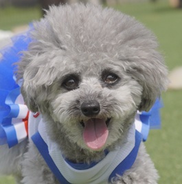 ���܂��i�g�C�v�[�h���j1 |