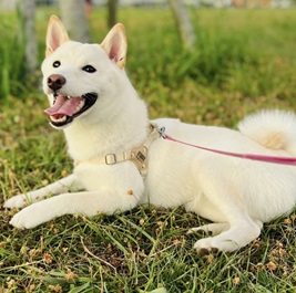 ��F���@���䂫�i�āj2 |