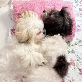 �܂߁i�}���`�[�Y�j2 |