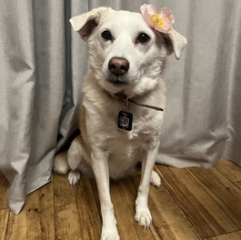 �}���A�iMIX�j2 |