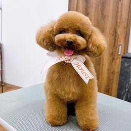 �܂���i�g�C�v�[�h���j2 |