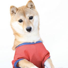 ����܂�i���āj1 |