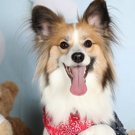 ���`�R�i�p�s�����j1 |