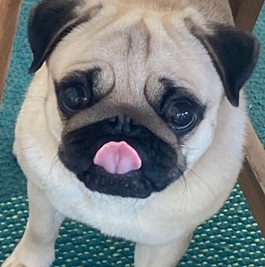 ���������i�p�O�j2 |