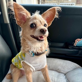 ���M�iMIX�i�`����&�v�[�h���j�j2 |