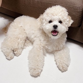 �O��|�e�g�iMIX�i�y�L�j�[�Y�~�g�C�v�[�h���j�j2 |