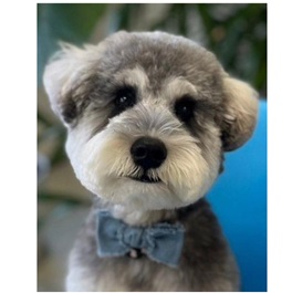 ����@�ՂՁi�~�j�`���A�V���i�E�U�[�j2 |