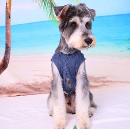 ���C���i�~�j�`���A�V���i�E�U�[�j2 |