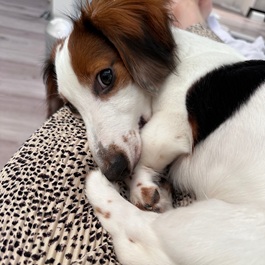 �����X�i�~�j�`���A�_�b�N�X�t���h�j2 |