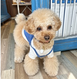 toi�i�g�C�v�[�h���j2 |