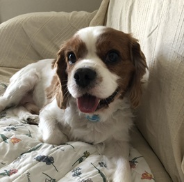 �����@�g�L�i�L���o���A�j2 |