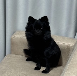 �������iMIX�i�|�����j�A���~�`�����j�j2 |