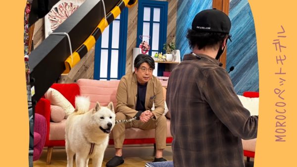 TNCにちようももち　ゴン太ちゃん