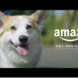 Amazon保護犬.保護猫支援プログラム「迎え入れたい明日につながる」篇　煌ちゃん、蘭丸ちゃん