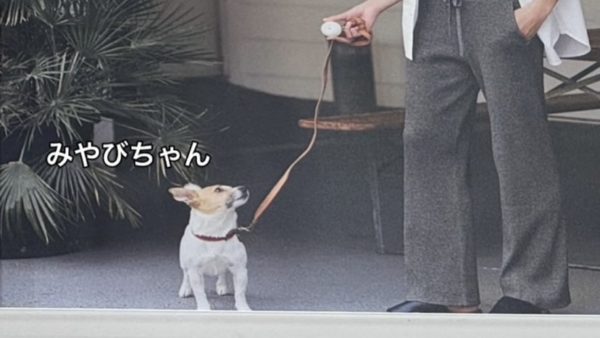 ユニクロ様広告モデル　みやびちゃん