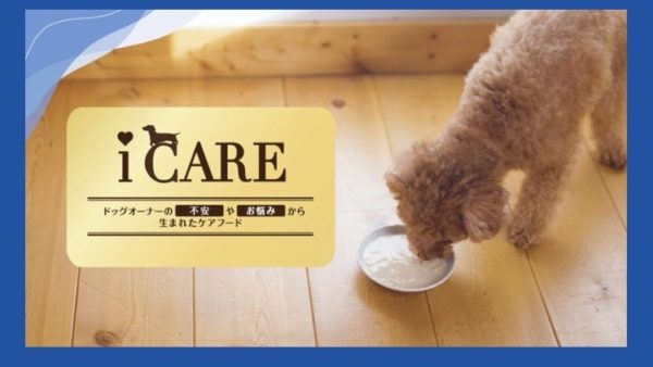 aixia様のweb動画にトイプードルのあんずちゃん出演しました