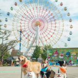 那須ハイハンドパーク✖️MORUCOペットモデルコラボ企画
