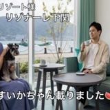 星野リゾート様「リゾナーレ下関」シュナウザーすいかちゃん