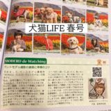 雑誌犬猫LIFEさんにコラムを掲載して頂きました。